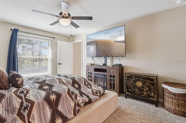 33134 EASTER DRIVE, Webster, FL 33597