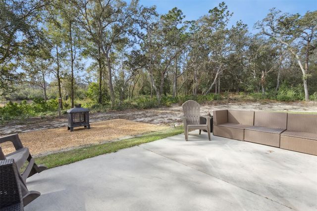 33134 EASTER DRIVE, Webster, FL 33597
