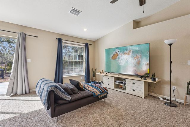 33134 EASTER DRIVE, Webster, FL 33597