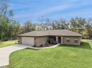 33134 EASTER DRIVE, Webster, FL 33597