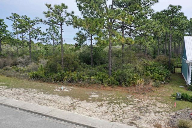 316 Royal Tern Way, Carrabelle, FL 32322