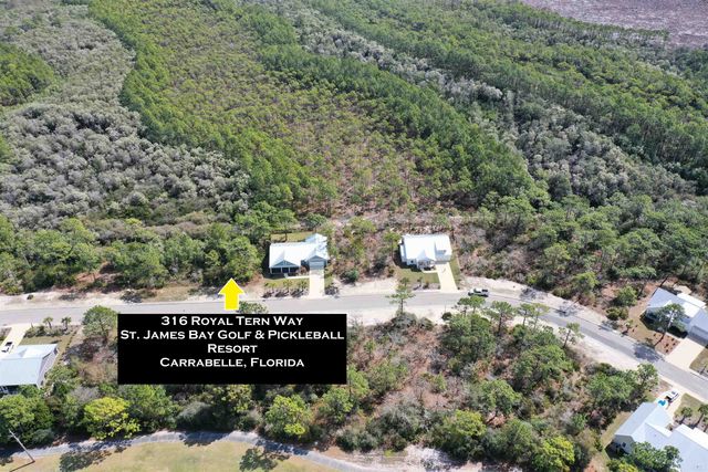 316 Royal Tern Way, Carrabelle, FL 32322