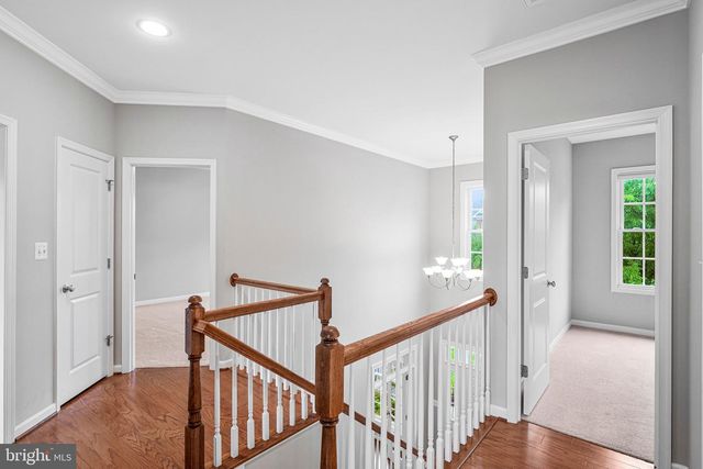 13217 MOONLIGHT TRAIL DR, Silver Spring, MD 20906