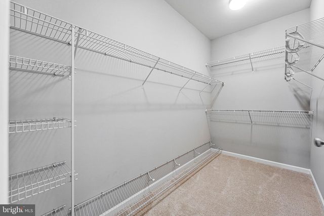 13217 MOONLIGHT TRAIL DR, Silver Spring, MD 20906