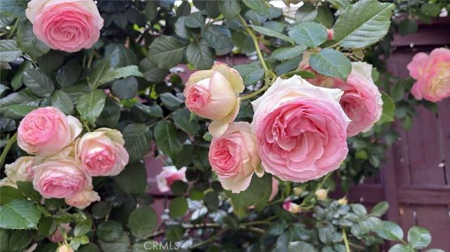 1948 Medoc, San Jacinto, CA 92583