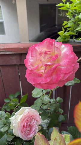 1948 Medoc, San Jacinto, CA 92583