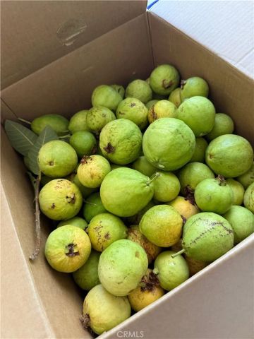 1948 Medoc, San Jacinto, CA 92583