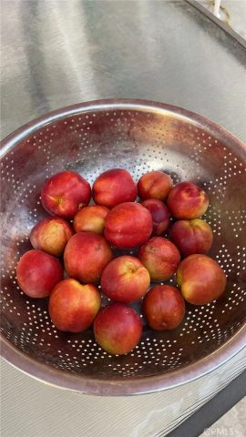 1948 Medoc, San Jacinto, CA 92583