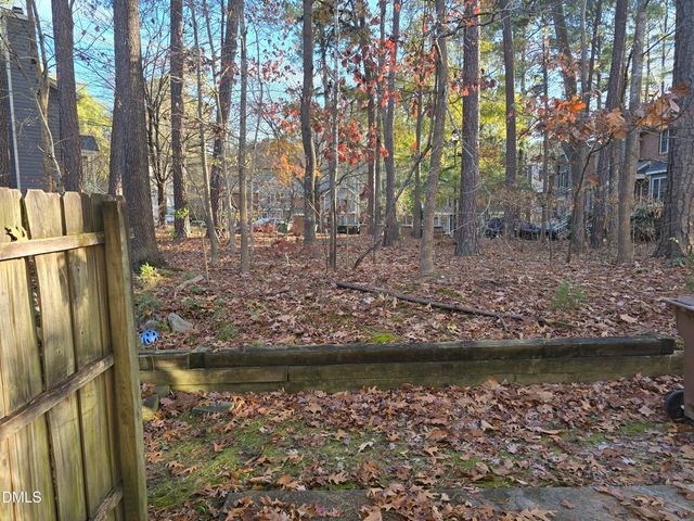 217 Climbing Ivy Court, Cary, NC 27511