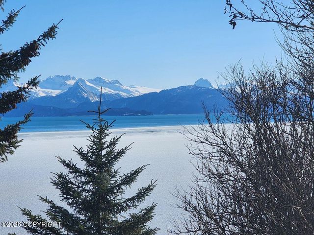 3125 Kachemak Drive, Homer, AK 99603