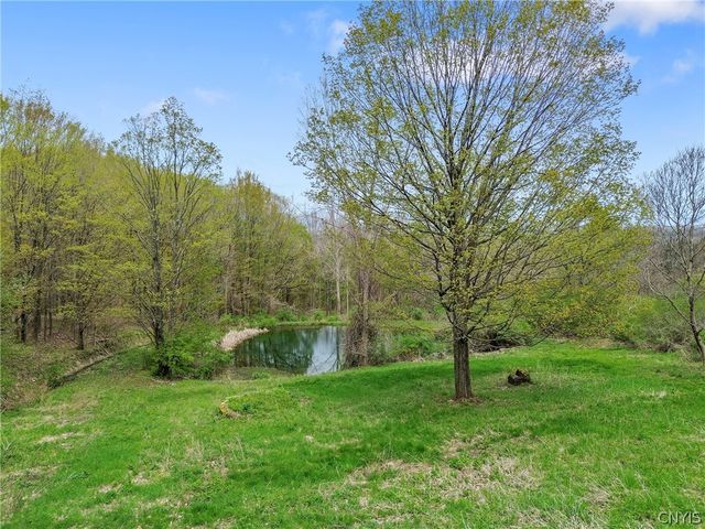 1078 Willowdale Road, Spafford, NY 13152