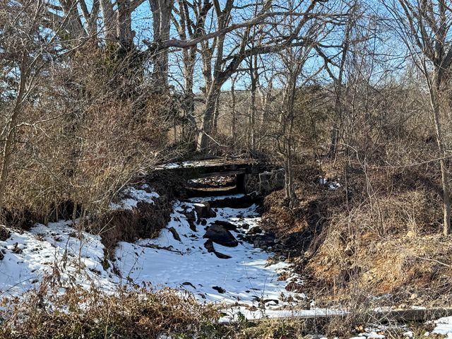 367 Knightsway, Billings, MO 65610