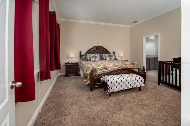 11604 QUIET FOREST DRIVE, Tampa, FL 33635