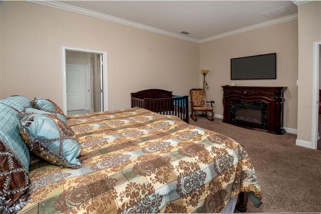 11604 QUIET FOREST DRIVE, Tampa, FL 33635