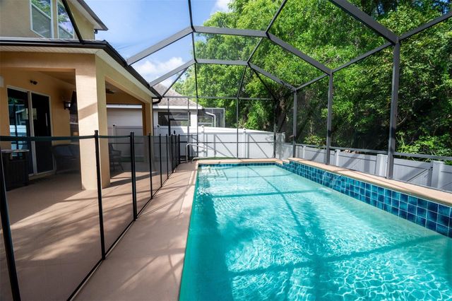 11604 QUIET FOREST DRIVE, Tampa, FL 33635