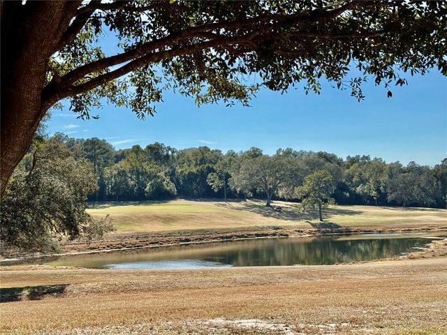 3781 COHEN DRIVE 724, Zellwood, FL 32798