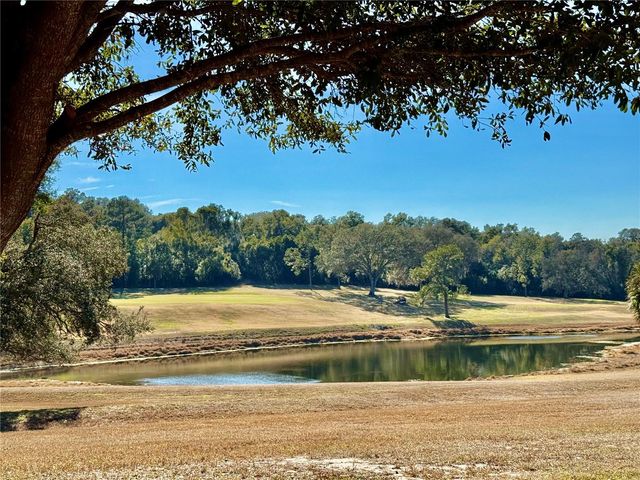 3781 COHEN DRIVE 724, Zellwood, FL 32798