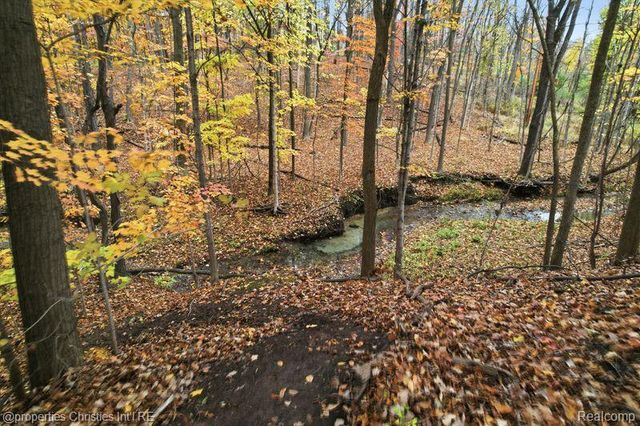 23460 Coventry Woods Lane, Southfield, MI 48034