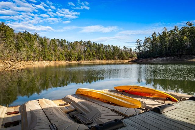 770 Fish Hook Point, Blue Ridge, GA 30513