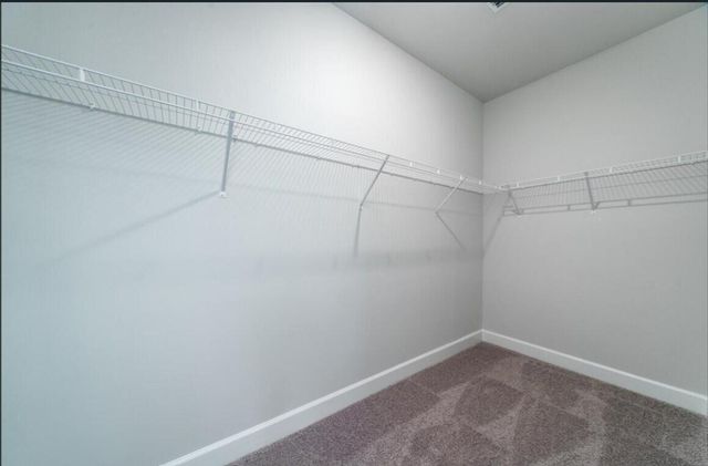 122 Royal Cainhoy Way, Huger, SC 29450