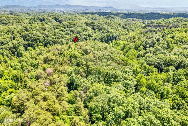 Amis Way, Sevierville, TN 37876