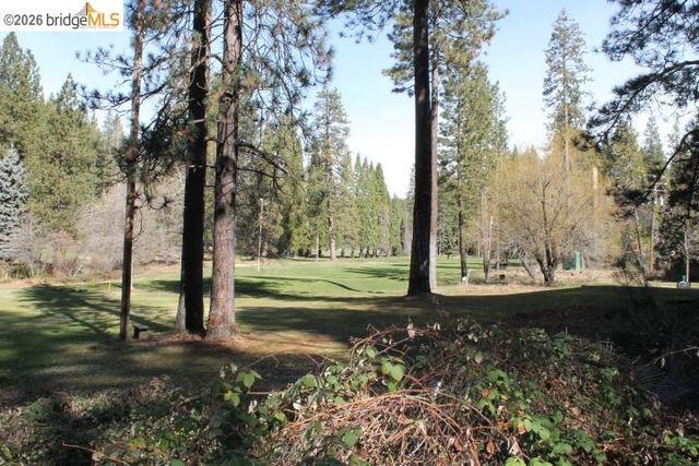 22860 Fuller Rd, Twain Harte, CA 95383