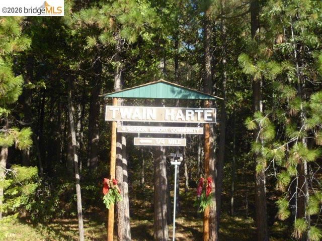 22860 Fuller Rd, Twain Harte, CA 95383