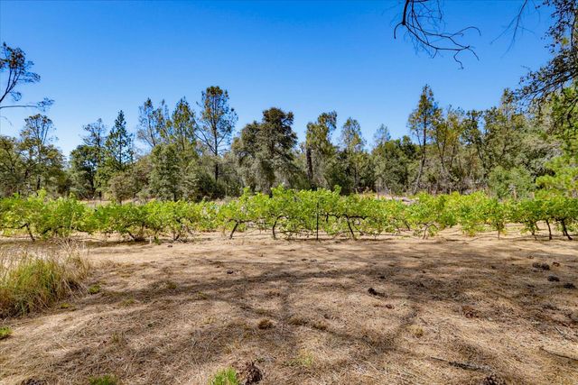 18088 Gray Oak Ct, Rough And Ready, CA 95975