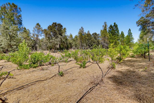 18088 Gray Oak Ct, Rough And Ready, CA 95975