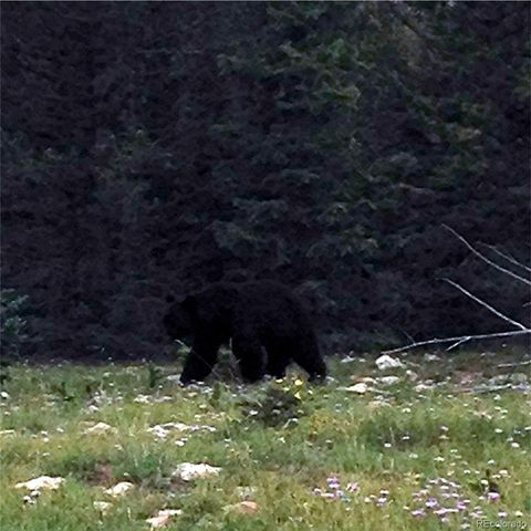 6554 Giesse Road, San Luis, CO 81152