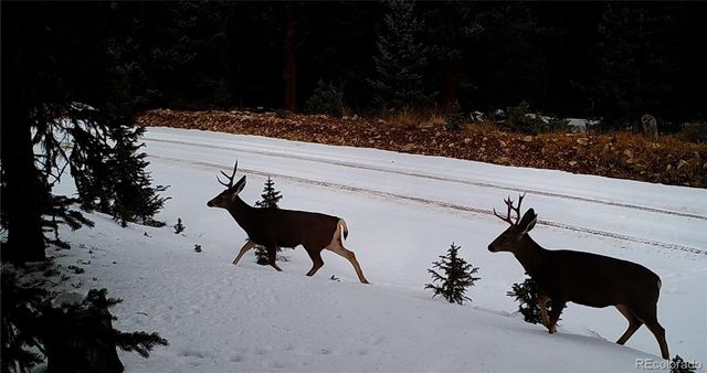 6554 Giesse Road, San Luis, CO 81152