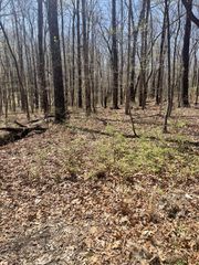 0 Deep Woods Rd, Sewanee, TN 37375