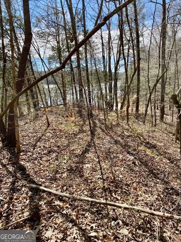 0 S Patriot Pointe Drive, Elberton, GA 30635