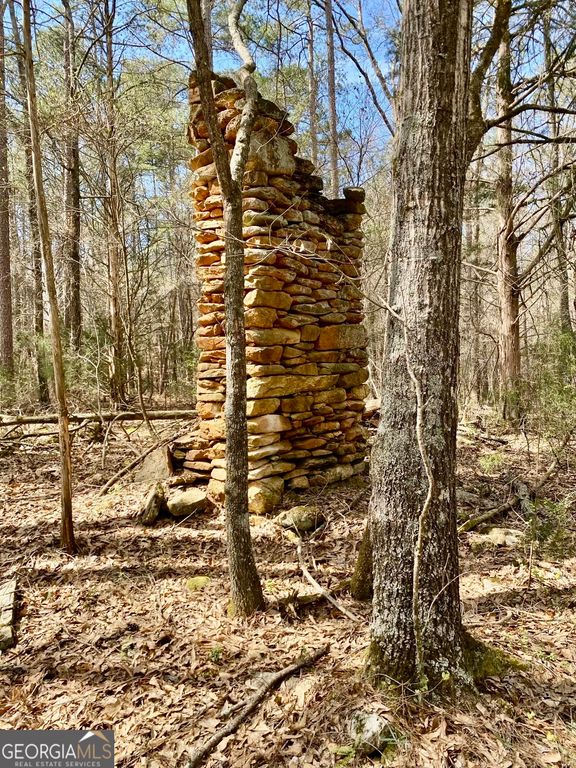 0 S Patriot Pointe Drive, Elberton, GA 30635 — photo 5