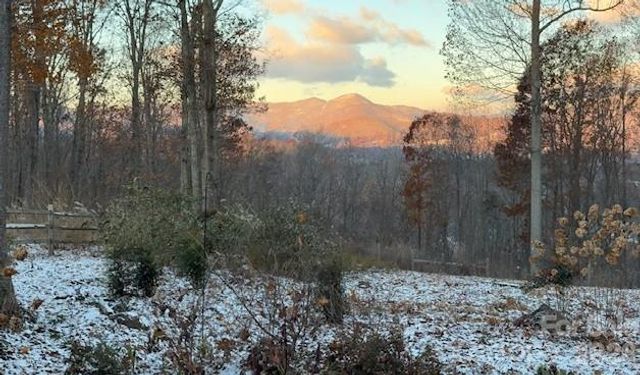 241 Alta Vista Drive, Candler, NC 28715