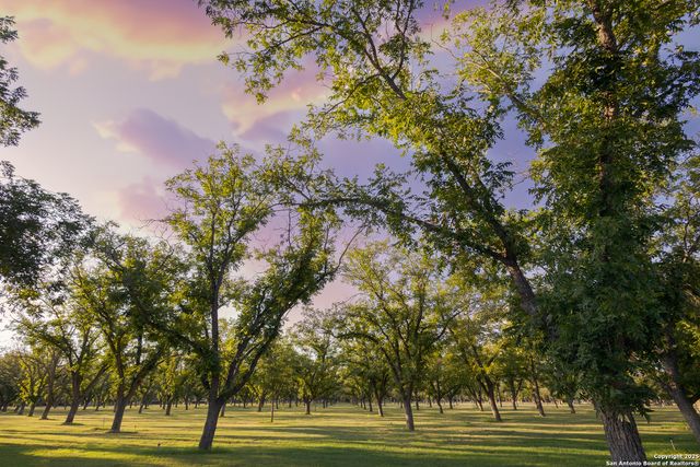 370 JOHNNY SEIBERT, Leakey, TX 78873