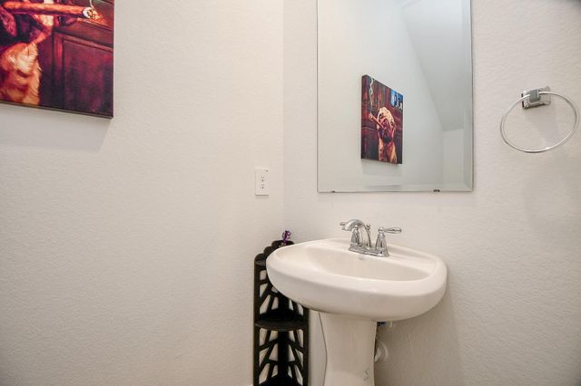 2917 Skyline Mesa Drive, Houston, TX 77047