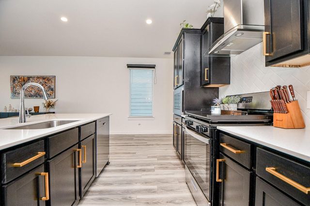 2917 Skyline Mesa Drive, Houston, TX 77047