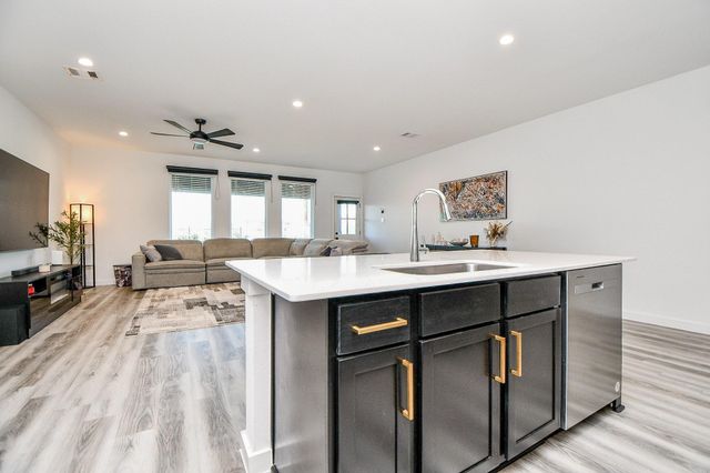 2917 Skyline Mesa Drive, Houston, TX 77047