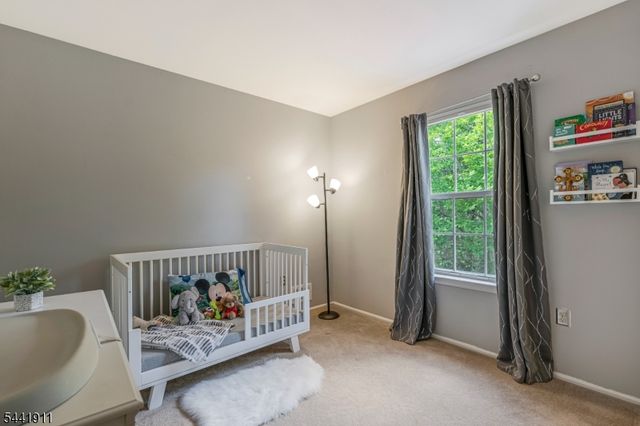10 Pamlico Path, Branchburg Twp., NJ 08876