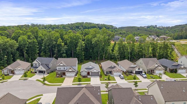 3561 Haystack Lane, Apison, TN 37302