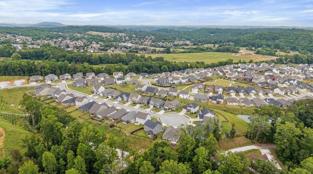 3561 Haystack Lane, Apison, TN 37302