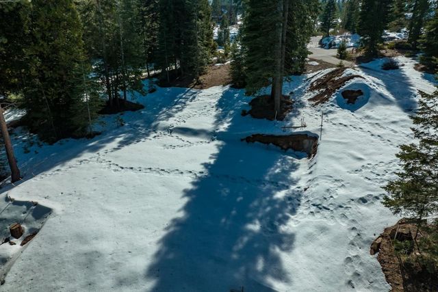 39851 Mountain Heather Road, Shaver Lake, CA 93664