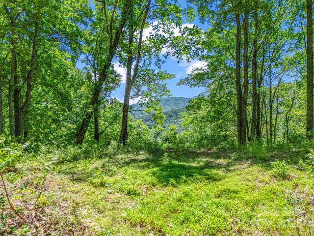 1029 Kestrel Lane T-72, Black Mountain, NC 28711