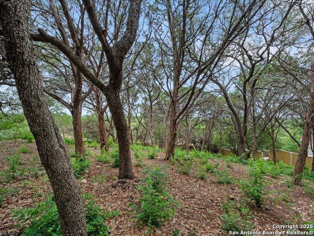 3 Benchwood, San Antonio, TX 78248