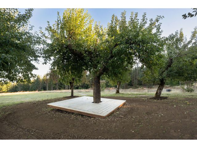 24856 Ne BALD PEAK Rd, Hillsboro, OR 97123