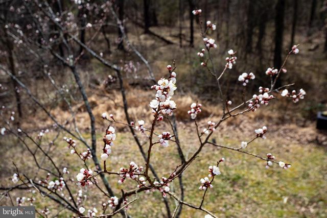 6901 ACCOKEEK RD, Brandywine, MD 20613