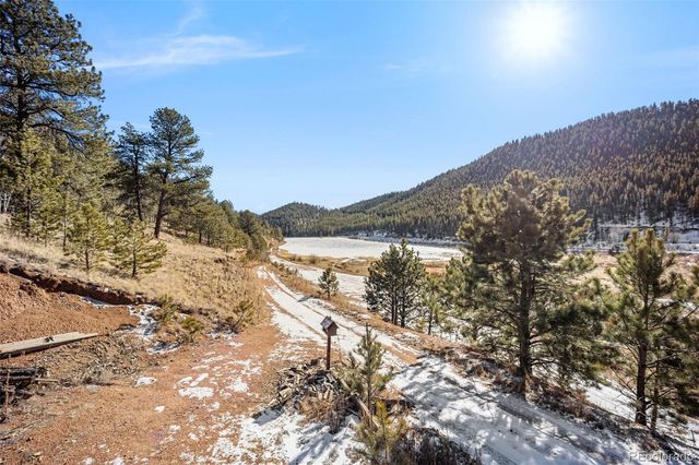 415 Bishop Road, Bailey, CO 80421