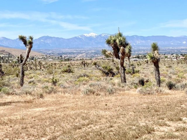 23777 Poppy, Apple Valley, CA 92308