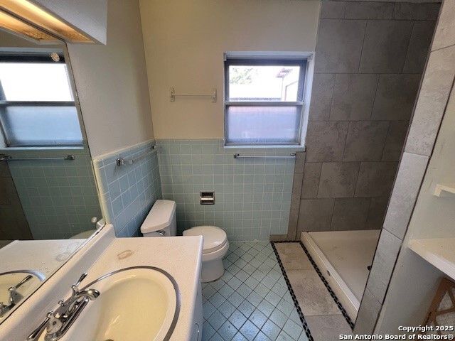 118 Goforth, San Antonio, TX 78233